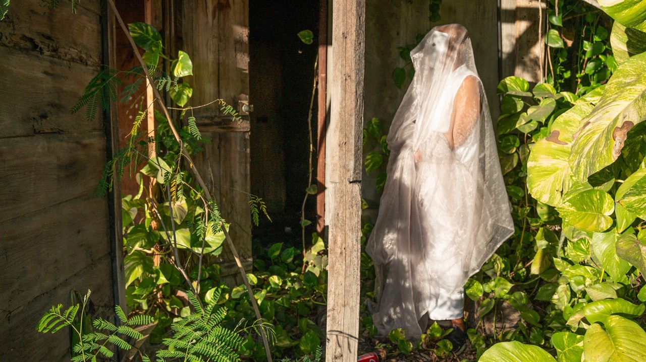A person in full length veil surrounded by plants